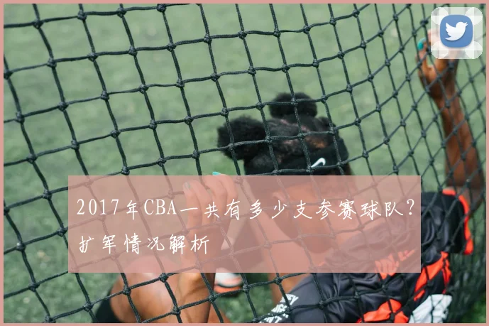 2017年CBA一共有多少支参赛球队？扩军情况解析
