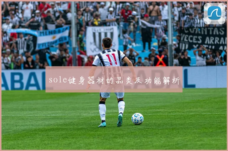 sole健身器材的品类及功能解析