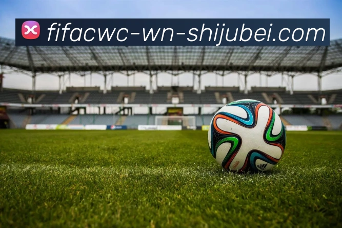 世界杯直播服务体系